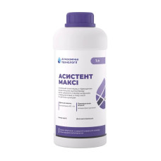 Асистент Максі