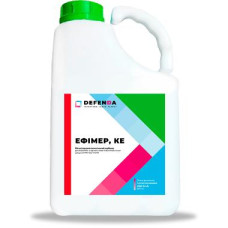Ефімер