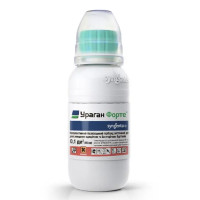 Ураган Форте